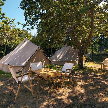Kampaoh Ancora Otel Vila Praia de Âncora Dış mekan fotoğraf